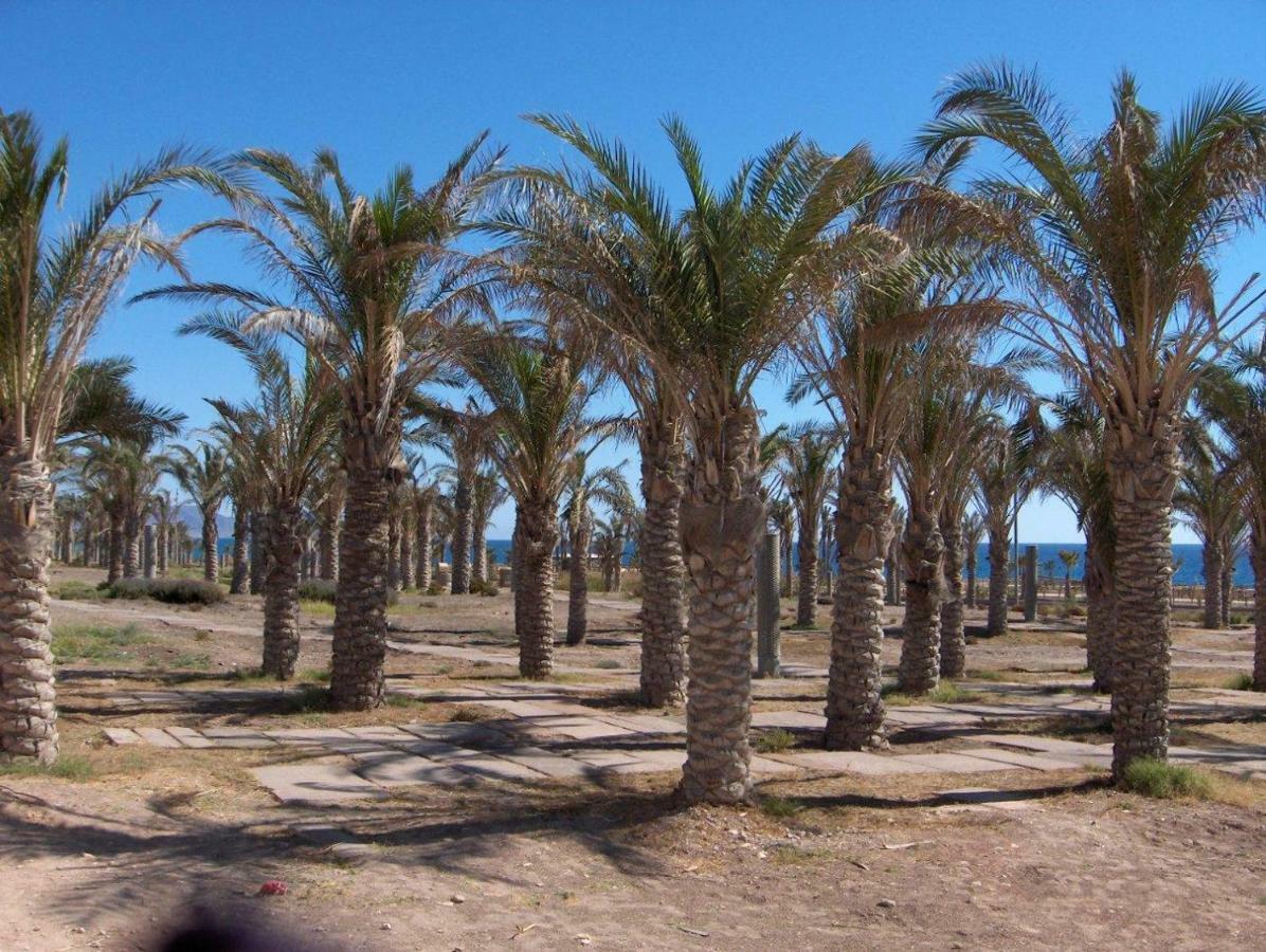 Golf Y Playa Junto Al Cabo De Gata Διαμέρισμα Αλμερία Εξωτερικό φωτογραφία